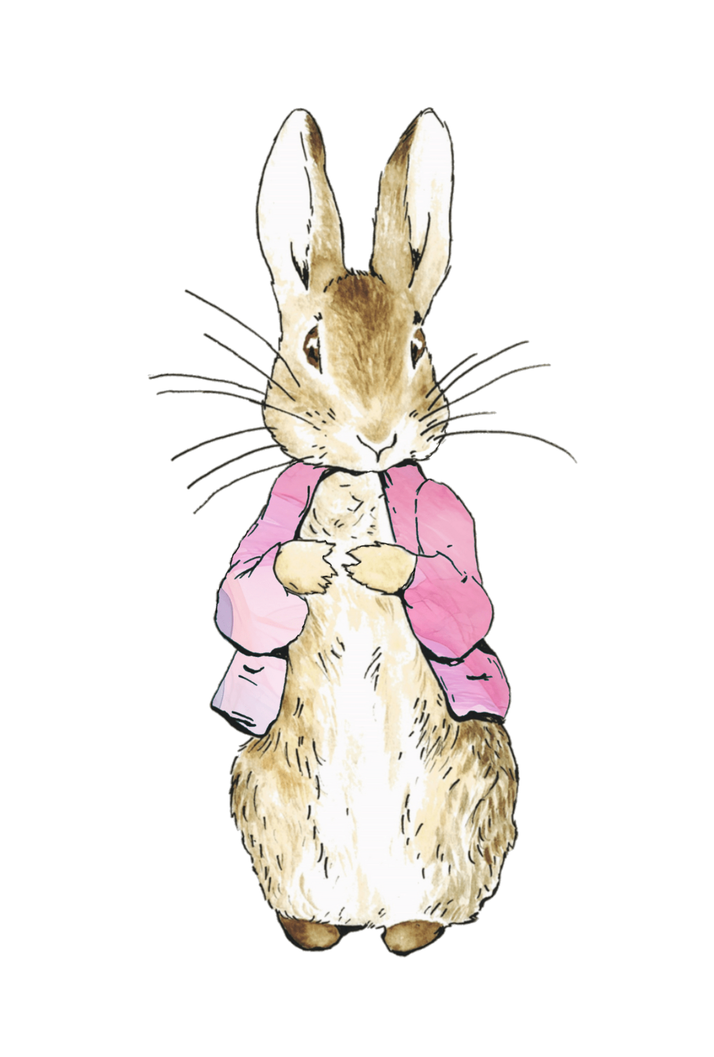 Personalised Bunny Rabbit theme printed cake topper. Various Fonts types and colours.