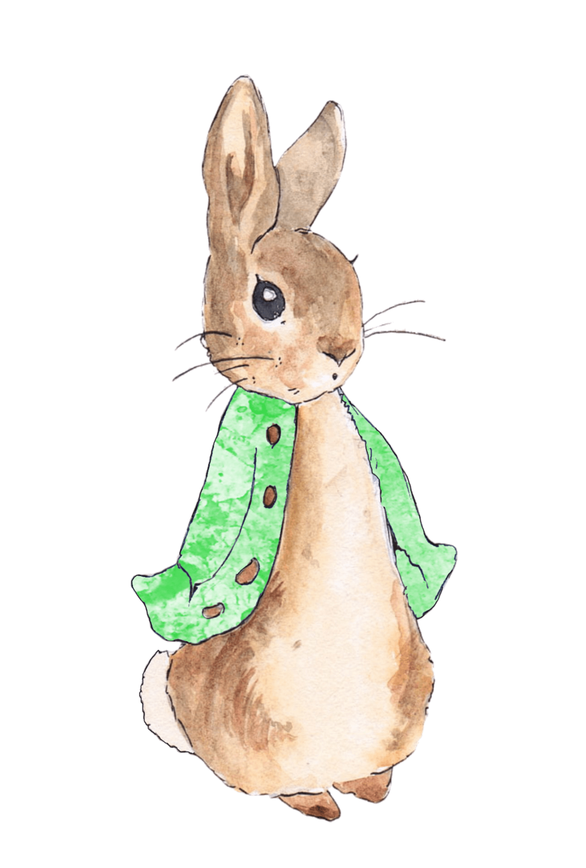 Personalised Bunny Rabbit theme printed cake topper. Various Fonts types and colours.