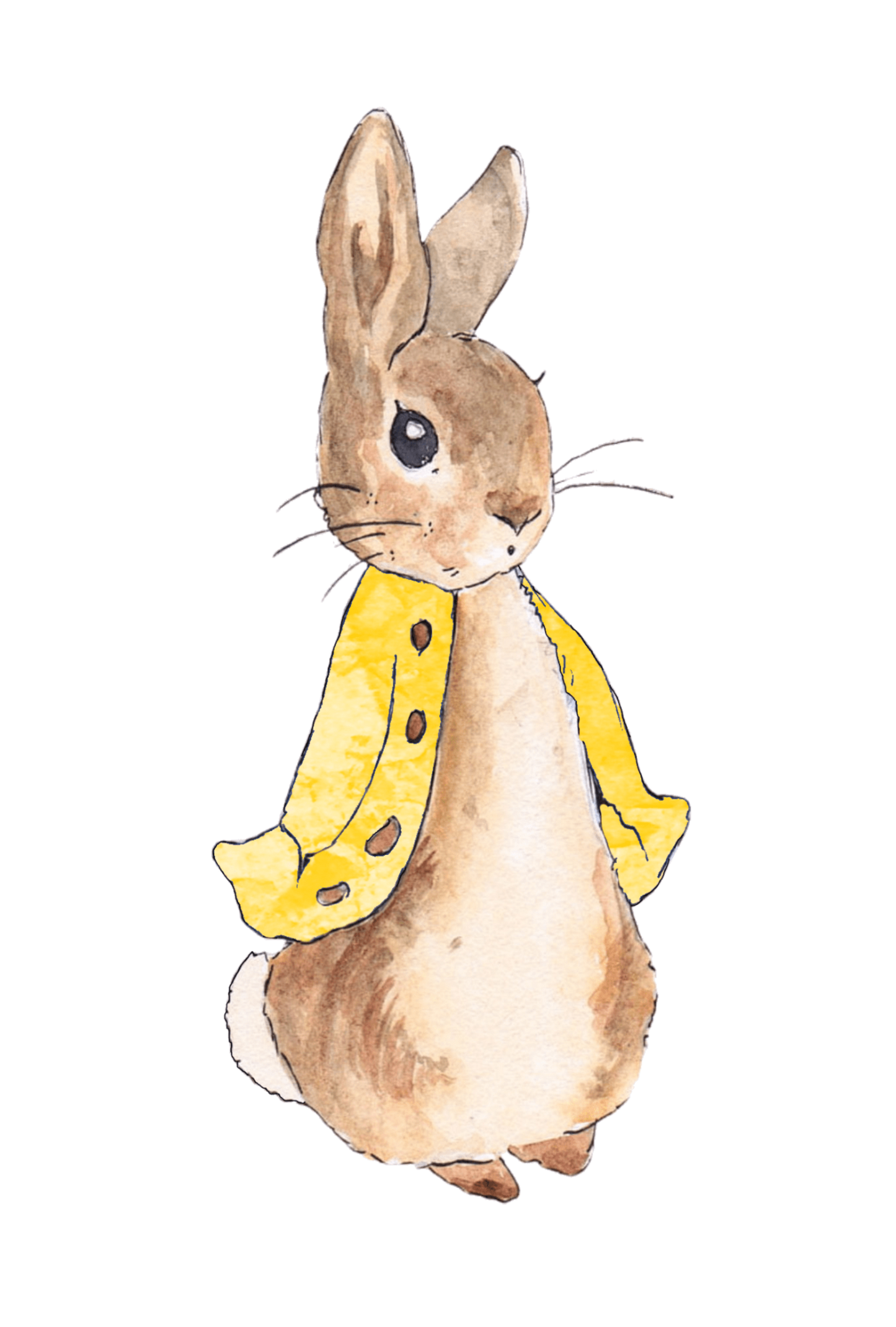 Personalised Bunny Rabbit theme printed cake topper. Various Fonts types and colours.