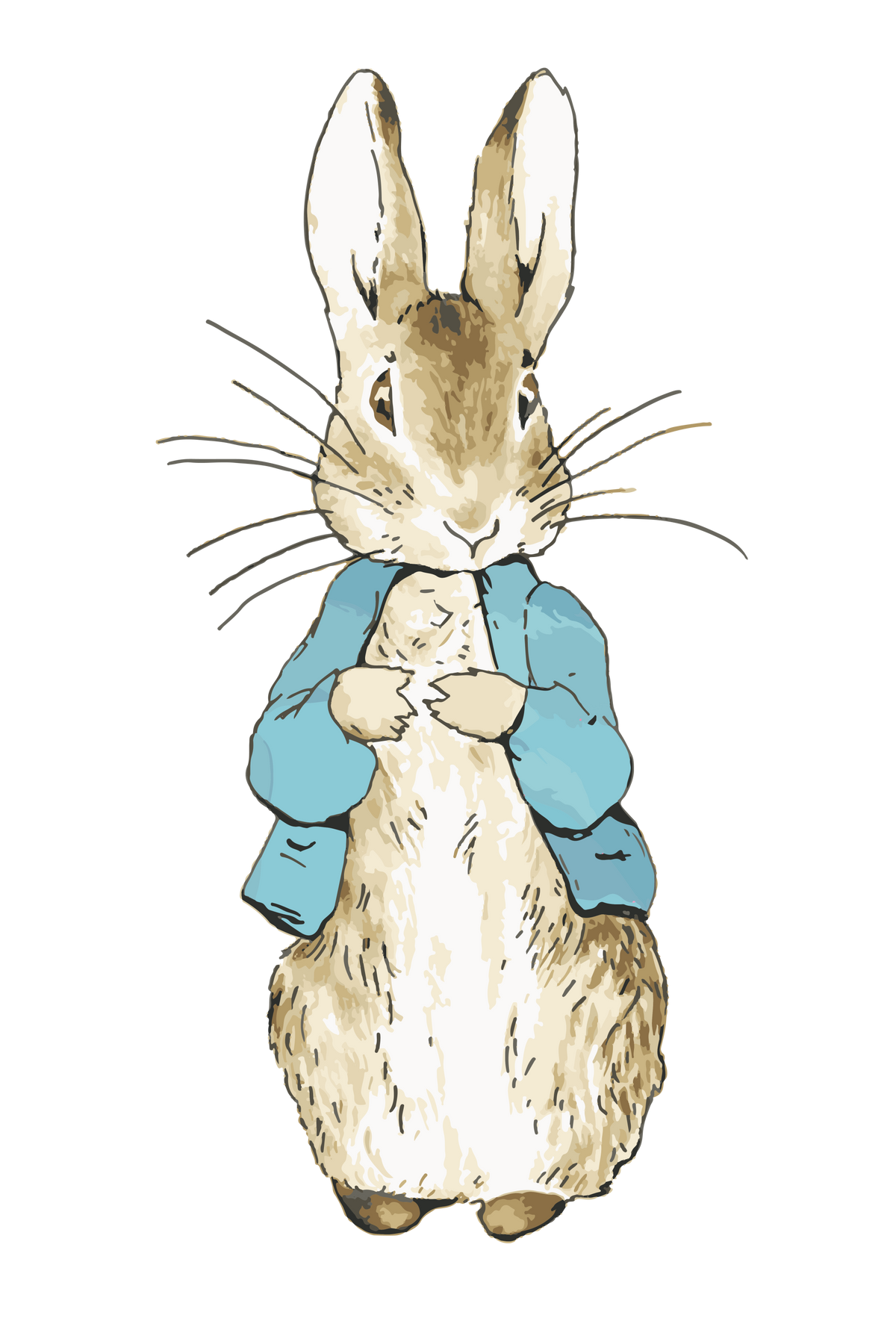 Personalised Bunny Rabbit theme printed cake topper. Various Fonts types and colours.