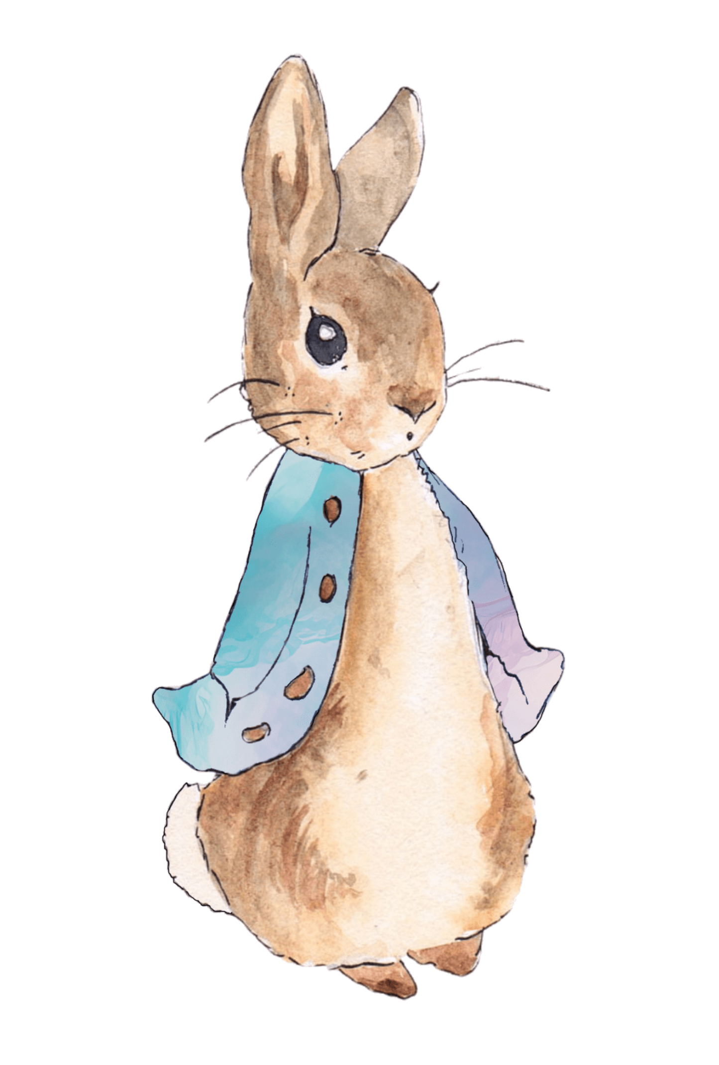 Personalised Bunny Rabbit theme printed cake topper. Various Fonts types and colours.