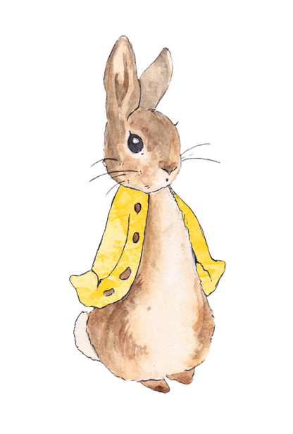 Personalised Bunny Rabbit theme printed cake topper. Various Fonts types and colours.
