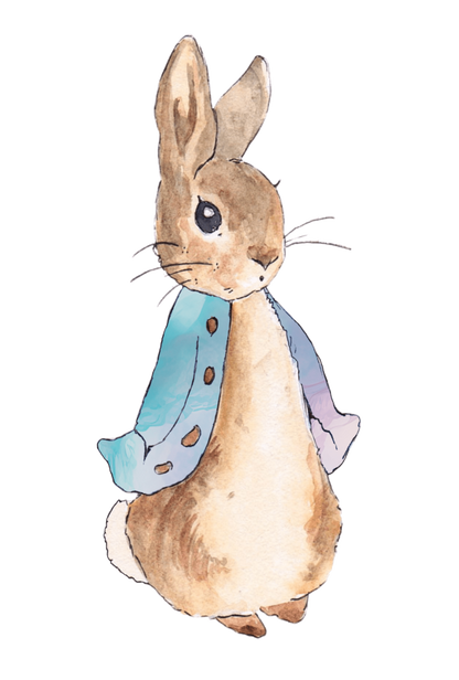 Personalised Bunny Rabbit theme printed cake topper. Various Fonts types and colours.
